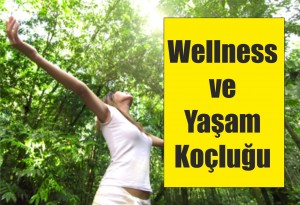 wellness koçluğu